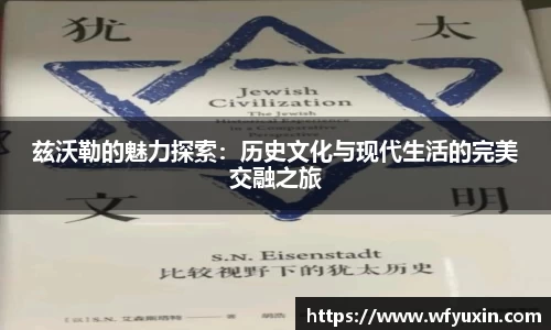 兹沃勒的魅力探索：历史文化与现代生活的完美交融之旅